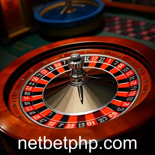 Online Gaming Evolution and NetBet's Success